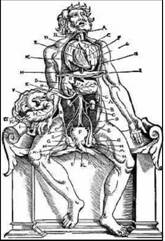 Иллюстрация к учебнику анатомии. Рисунок Ханса Бальдунга. 1541