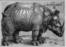 Носорог. Рисунок Альбрехта Дюрера. 1513