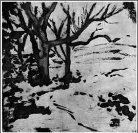 Деревья. Рисунок Дега. 1892