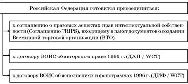 Mitral Valve Transesophageal Echocardiography